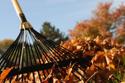 Rake your own leaves