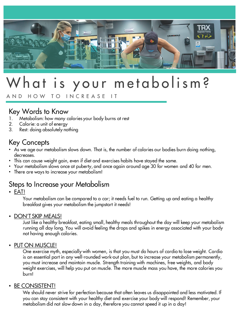 Blog Post March 2021 - Metabolism